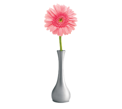 Flower Vase 7'' Hand Wash Only