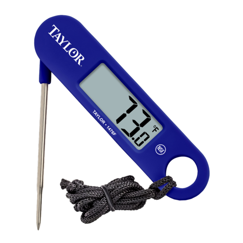 Thermometer Digital Folding Probe