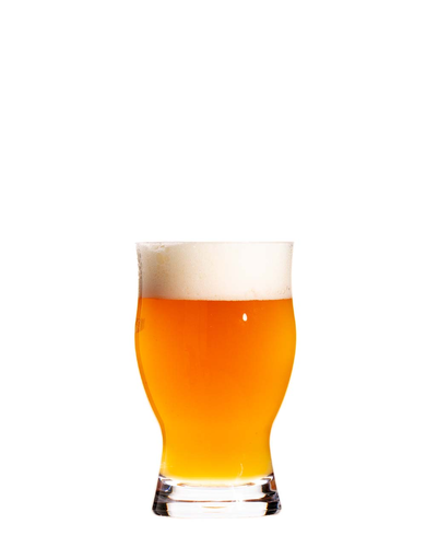 Hospitality Brands Revolution Beer Glass, 16 oz., unbreakable, dishwasher safe, polycarbonate, clear