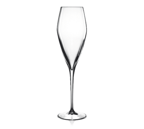 Champagne Glass  9.25 oz.