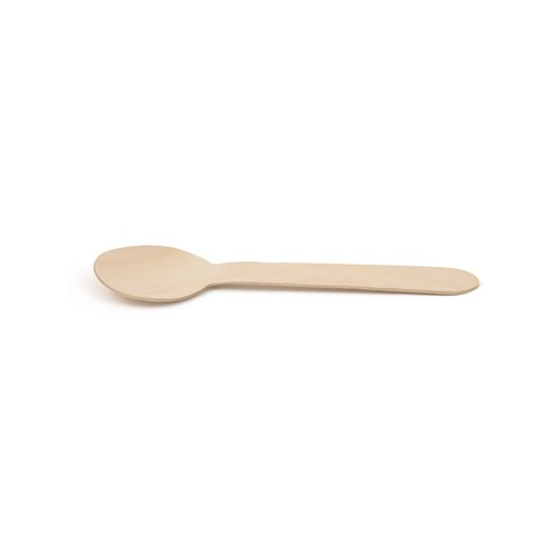 Servewise Disposable Spoon 6-1/4''
