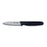 Basics (31436) Paring Knife 3-1/4'' Stain-free